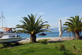 Sellianitika Strand mit Palmen