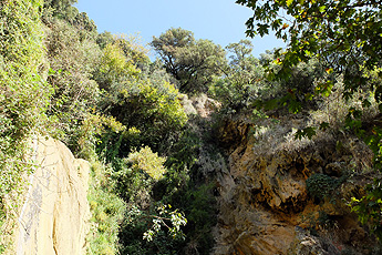 Kalamari Wasserfall Blick nach oben