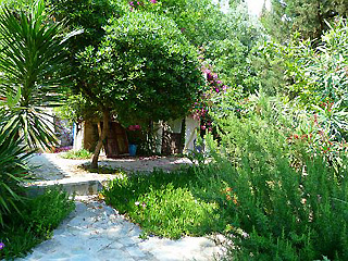 Ferienhaus Sourmelina bei Stoupa - Der Garten