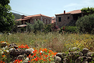 Kardamyli Haus im Ort mit Wiese