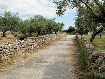 Wanderweg von Stoupa nach Agios Nikolaos